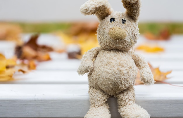 Season, childhood and loneliness concept - close up of lonely toy rabbit on bench in autumn park