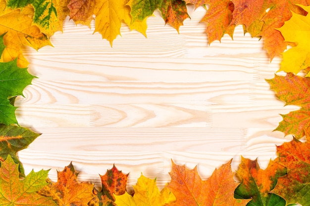 Seasonal autumn background. Frame of colorful maple leaves.