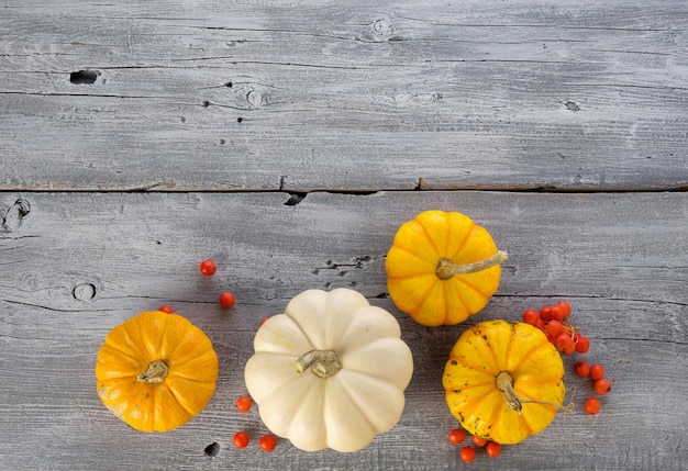 Seasonal beautiful autumn background with ripe pumpkins and red berries on wooden table background Thanksgiving backdrop harvest festival or Halloween