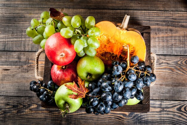 Seasonal fall fruits and pumpkin