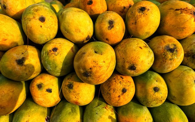 Seasonal fruit mangoes