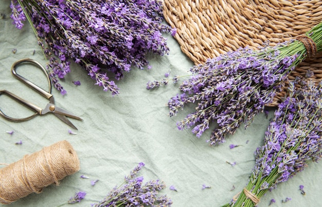 Seasonal pruning of lavender