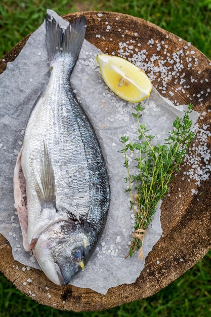 Seasoning sea bream with lemon and herbs for grill