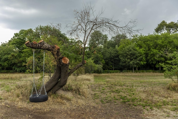 The seat consists of a mere tire in which the child is placed