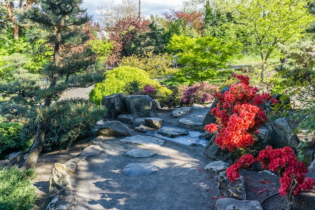 Photo seatac washington garden path