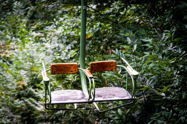 Photo seats against plants in park