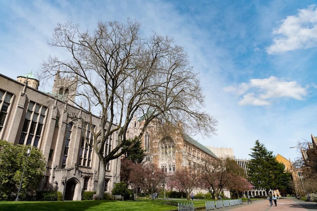 Seattle Washington USA 3 april 2021 college campus gebouw van Washington University met boom