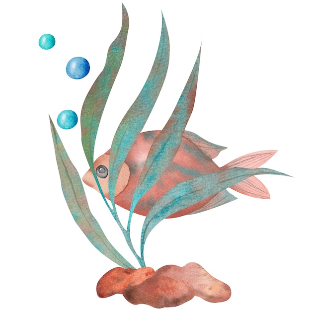 Seaweed and fish illustration in orange and turquoise colors Aquarium composition Watercolor composition