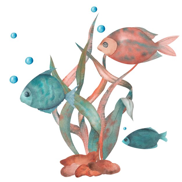 Seaweed and fish illustration in orange and turquoise colors Aquarium composition Watercolor composition