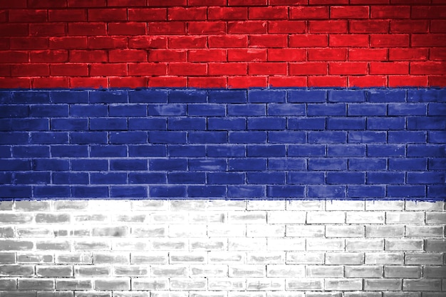 Sebia vlag muur textuur achtergrond