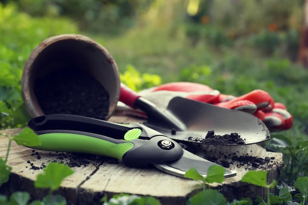 Cesoie e altri attrezzi da giardinaggio su ceppo di legno tra il primo piano dell'erba verde