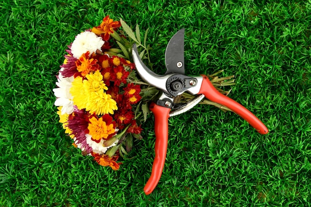 Photo secateurs with flowers on green grass background