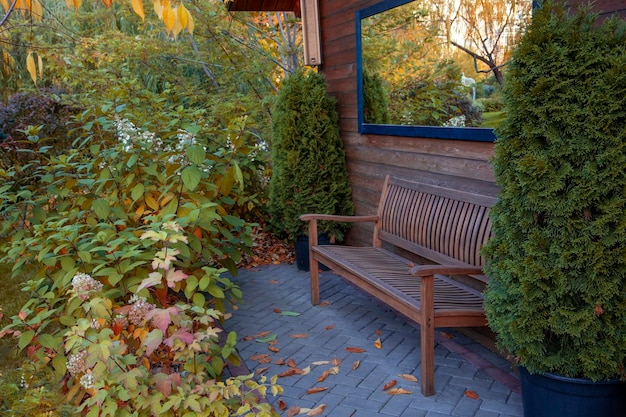 Secluded bench in the autumn park