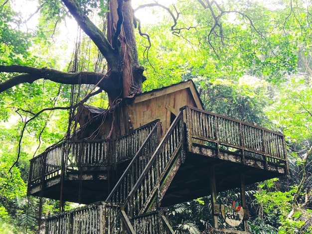 secluded treehouse in the woods