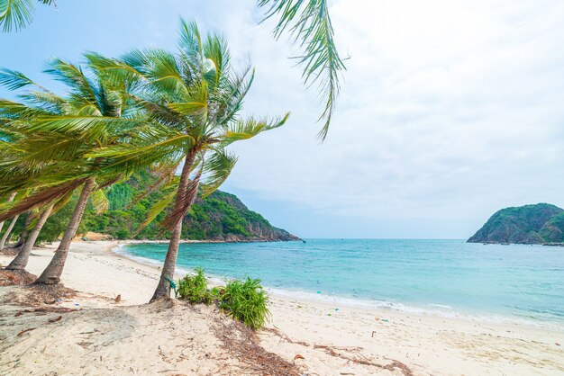 Secluded tropical beach turquoise transparent water palm trees