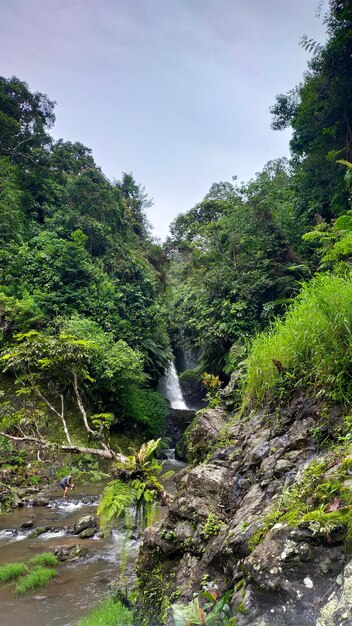 Foto cascata di bellezza segreta nella giungla