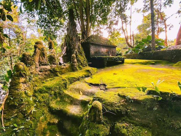 Secret Buddha Magic Garden in koh Samui Thailand