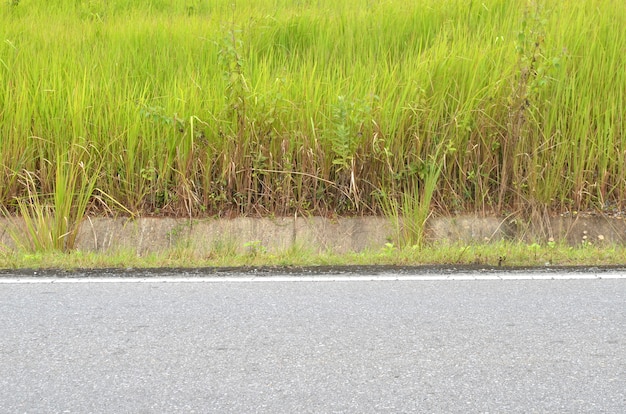 Section of asphalt road in a rural area