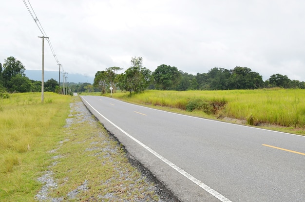 地方のアスファルト道路のセクション