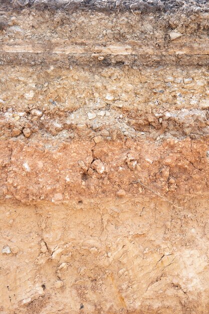 section of soil under the asphalt road