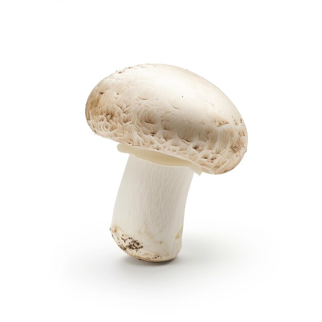 A sections of mushroom in bowl on white background