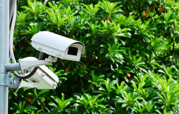 Telecamera di sicurezza cctv nel parco