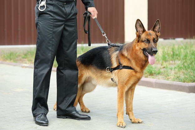 Photo security guard with dog outdoors