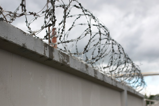 Security system using wire fences on the fence