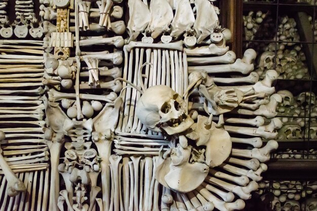 Photo sedlec crypt with a bone storage facility in kutna hora czech republic