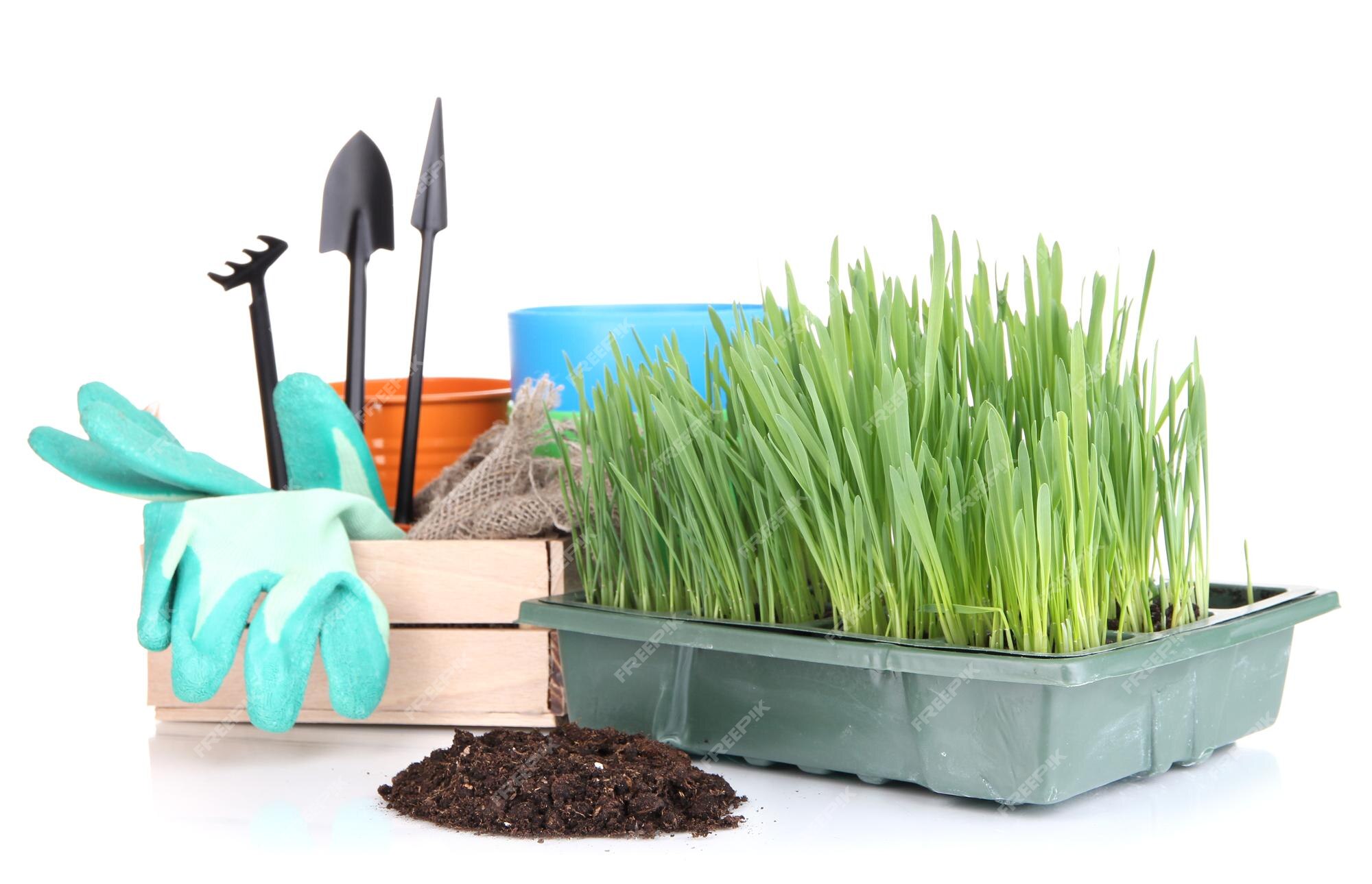 Seed Box For Seedling Isolated On White Stock Photo, Picture and