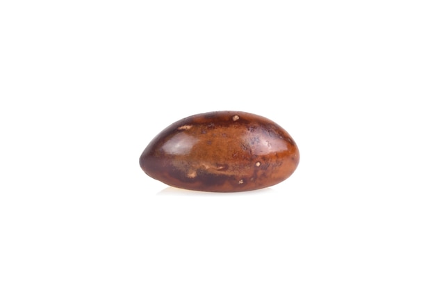 Seed of Pouteria campechiana, canistel fruit with white background