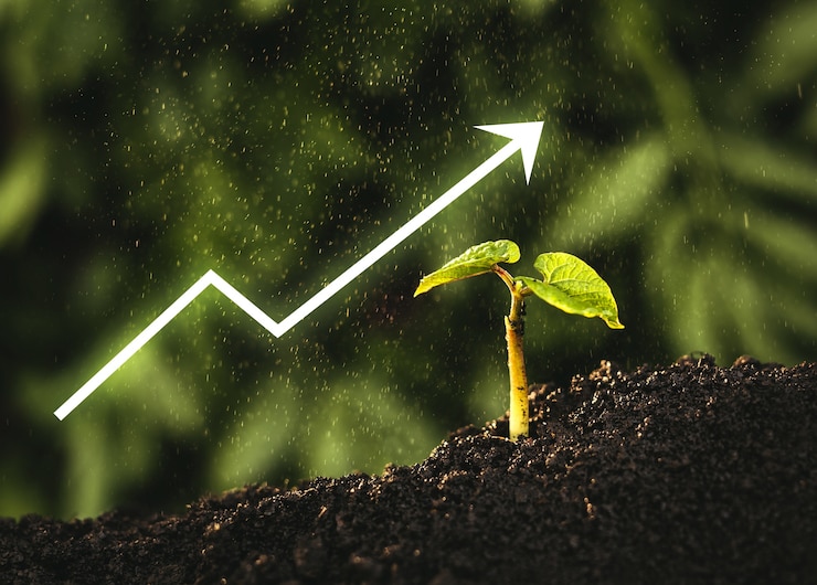 Photo seedling are growing from the rich soil with digital arrow  graph.