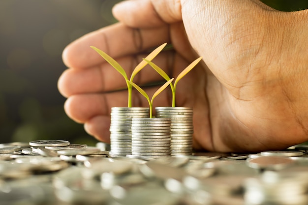 The seedlings are growing on coins.