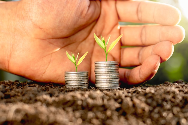 Seedlings are growing on coins.