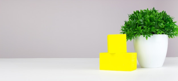 Seedlings in a pot and yellow cube on a white background. House Plant on the table mock up.