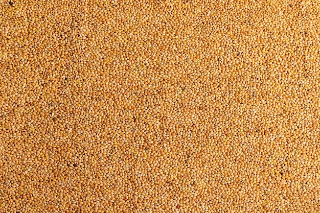 Seeds for birds feed closeup