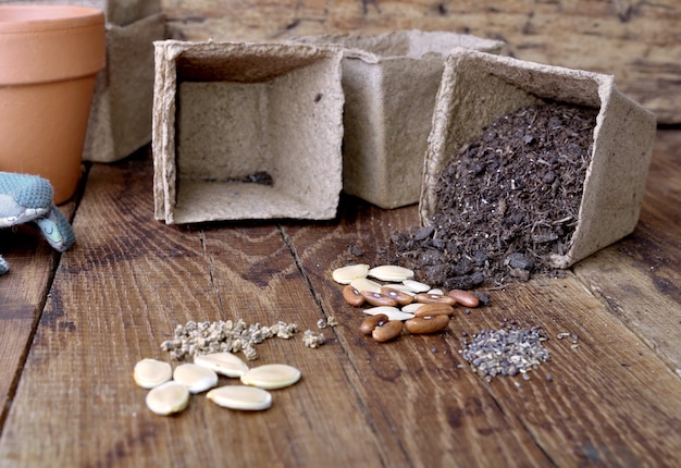 Seeds and bucket for seedlings