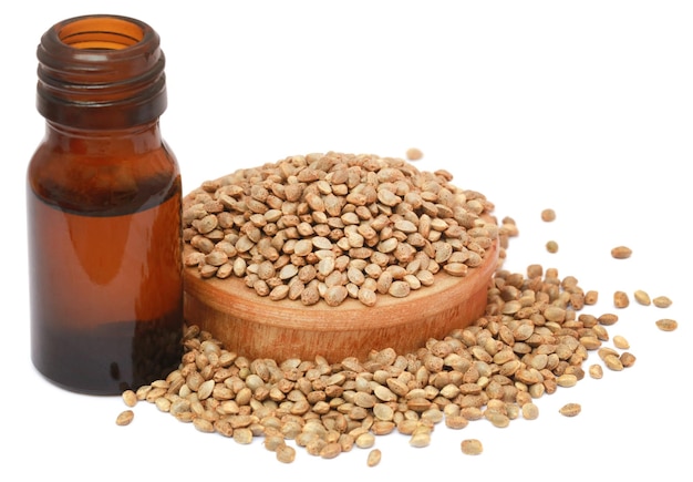 Seeds of Cannabis or hemp with essential oil in bottle