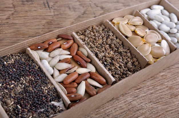 Seeds on cases in a box 