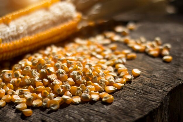 Seeds and corn pods on old wooden floor