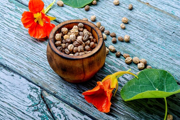 Seeds, and flowers of nasturtium