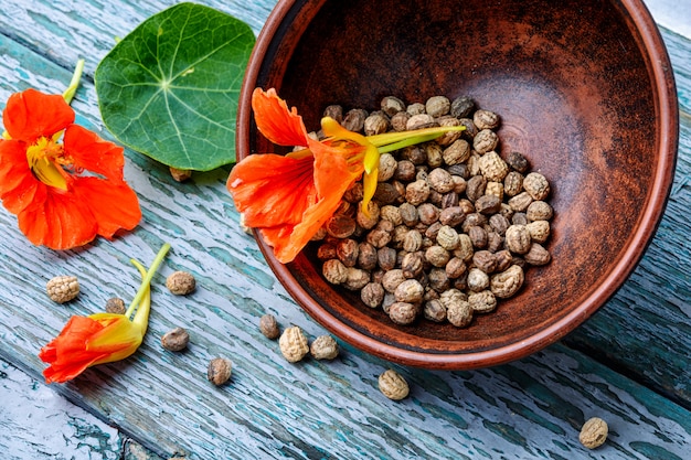 Seeds, and flowers of nasturtium