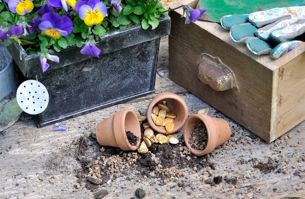 Seeds for sowing