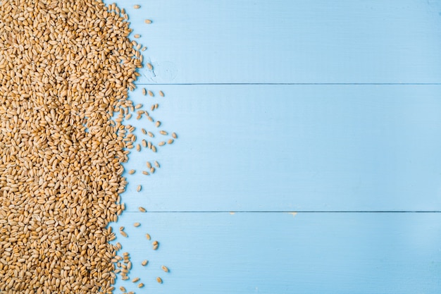 Seeds of wheat ears on blue wooden background