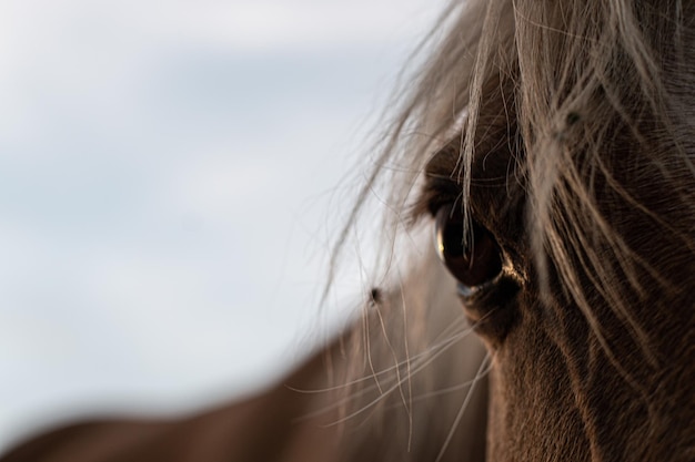 Foto vedere tutto cattura l'anima