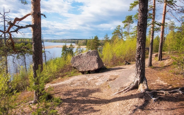 Seid or megalith a stone with legs on a bald mountain above Lake Iloranta Beautiful northern nature