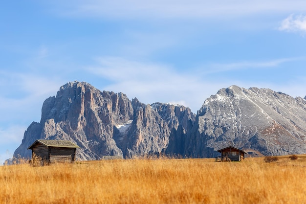 Seiser Alm plateau in autumn with a view of Langkofel Group mountains Sassolungo and Sassopiatto