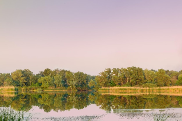 Seizoensconcept. Boslandschap aan de rivier bij zonsondergang