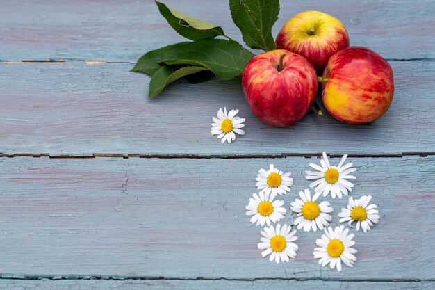 Foto seizoensgebonden stilleven van rode en gele appels, verse oogst, met kamille bloemen op een blauwe houten achtergrond met plaats voor tekst, kopieer ruimte.