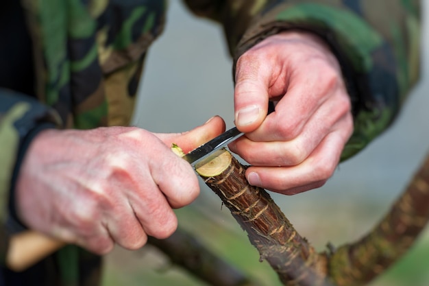 Seizoenssnoei van bomen. De boer zorgt voor de boomgaard.